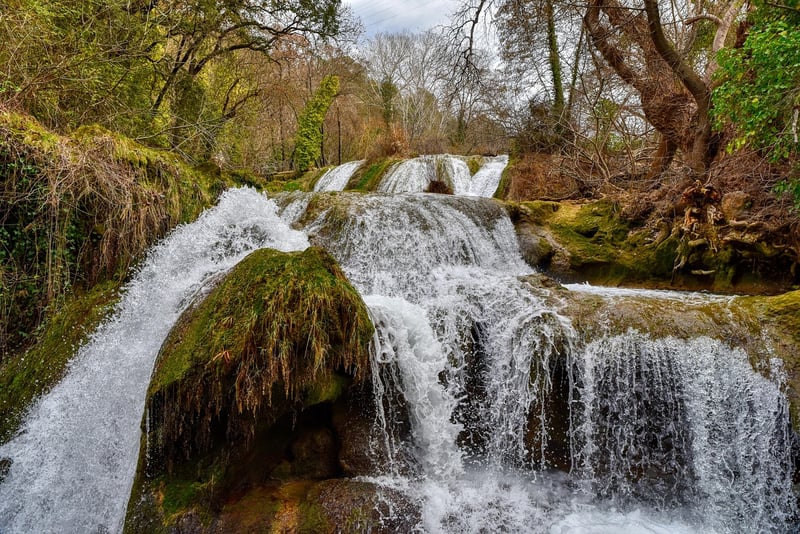 Floral cascades