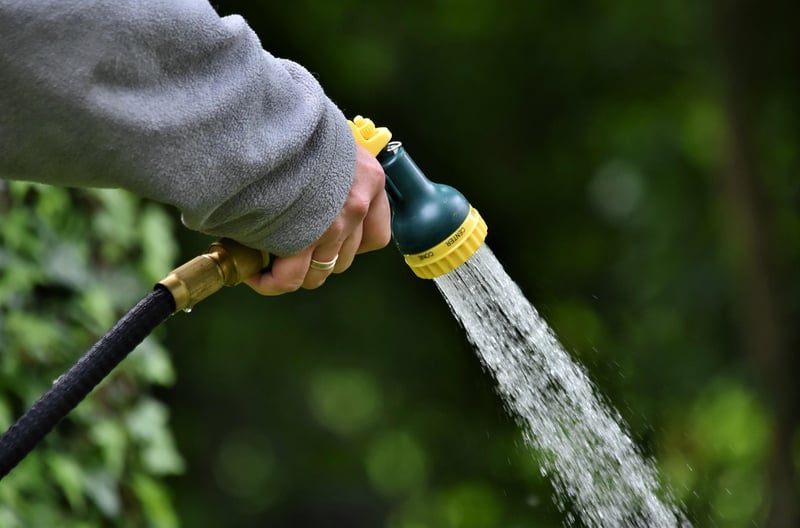 Watering schedules